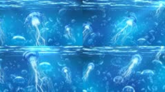 海底唯美蓝色水母游荡循环