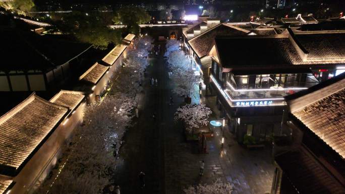 台州临海紫阳街樱花航拍