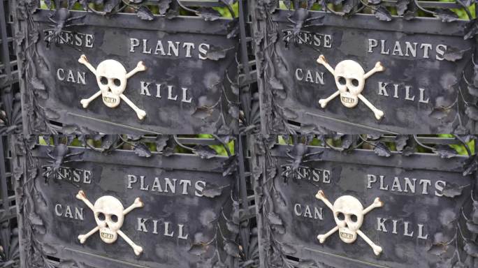 这种植物可以杀死带有骷髅交叉的有毒标志的字母，英国，阿尼克花园