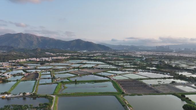 4k深圳河入海口