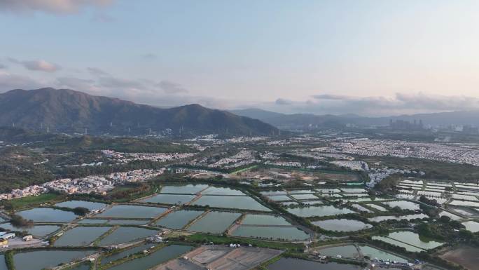 深圳看香港