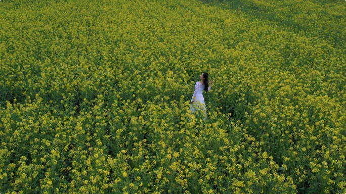 阿莱拍摄美女在春天的油菜花里跳舞