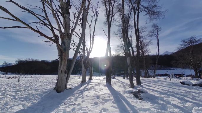 世界尽头阿根廷乌斯怀亚的冰冻森林。雪山。冰川的风景。世界尽头阿根廷。冬季旅游。世界尽头阿根廷乌斯怀亚