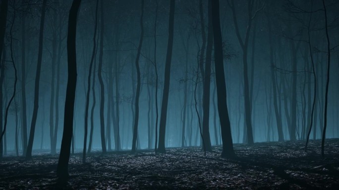 日落时笼罩在薄雾中的怪异森林