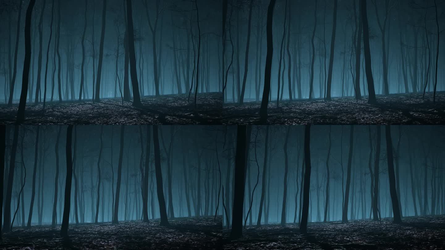 日落时笼罩在薄雾中的怪异森林
