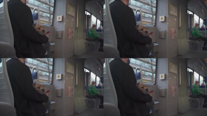 德国慕尼黑，主人抱着小狗乘坐电车。带宠物乘坐公共交通工具的主题。狗和主人一起乘电车。一个面目全非的女