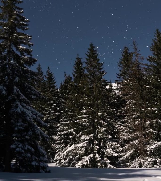 月光下冬季森林上空的蓝色星空星空垂直全景，天文时间流逝