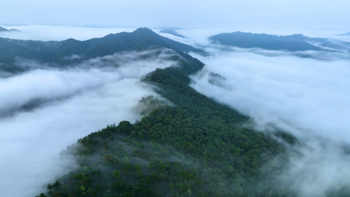 原始森林航拍秦岭自然森林航拍徽州村落