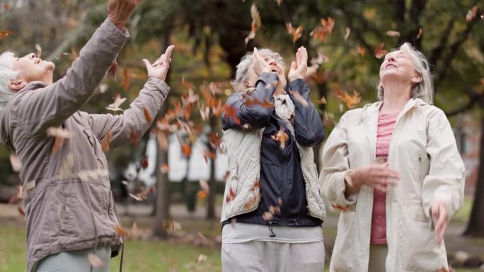 高年级妇女、朋友们一起抛掷树叶进行喜剧游戏，一起在公园里玩耍或欢欢喜喜地庆祝。团体、老人和退休老人在
