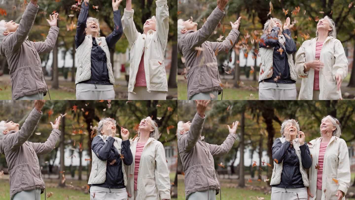高年级妇女、朋友们一起抛掷树叶进行喜剧游戏，一起在公园里玩耍或欢欢喜喜地庆祝。团体、老人和退休老人在