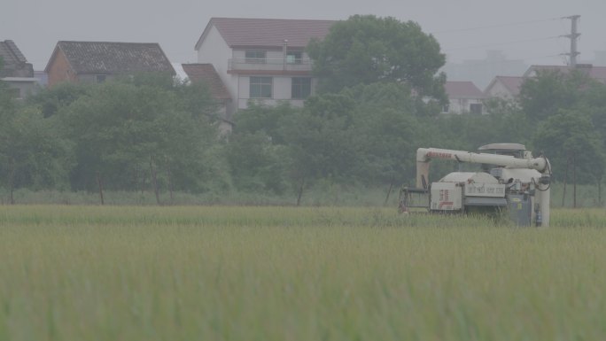 沃德农机收割机稻田作业