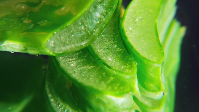 特写的切片新鲜的绿色芦荟植物-有用的草药皮肤药物。抗衰老化妆品天然提取物的生产。