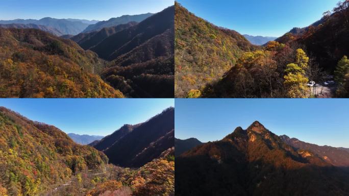 秦岭山水森林日出云海