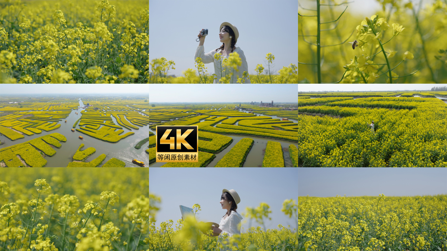 兴化千垛油菜花少女航拍旅游视频合集4k