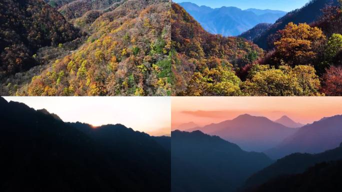 秦岭山水森林日出云海