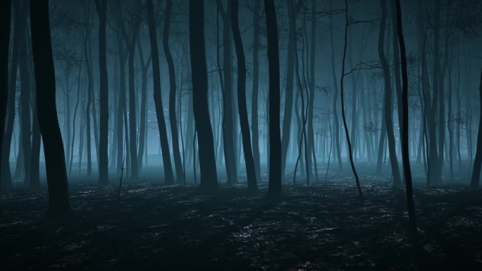 阴森的薄雾笼罩的黄昏树林