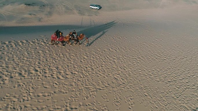 新疆哈密：沙漠驼铃