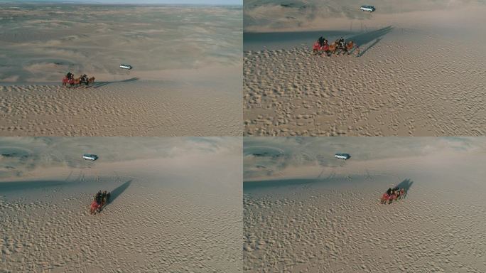 新疆哈密：沙漠驼铃