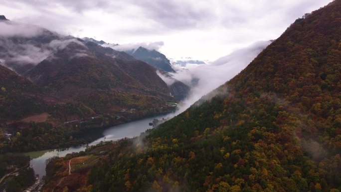 秦岭山水森林日出云海