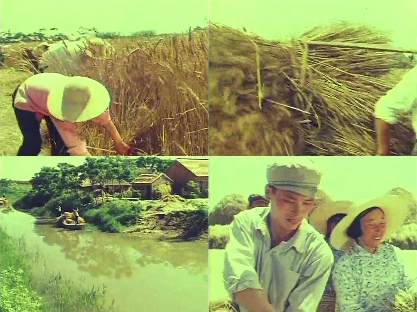 70年代初 中国农村公社生产
