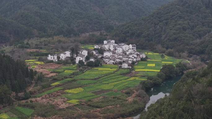 婺源春天航拍 油菜花 徽派建筑 田野风光