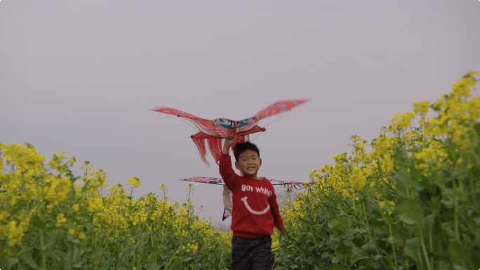 阿莱拍摄美丽乡村振兴油菜花童年风筝梦想