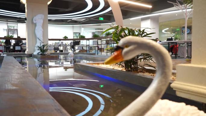 高级感写字楼办公环境展厅展示水池假天鹅