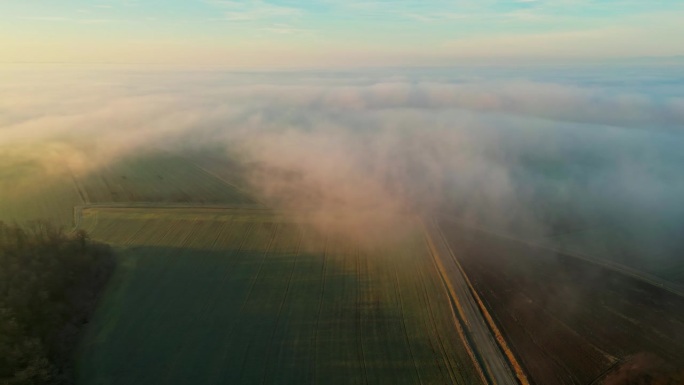 雾覆盖的农田和茂密的森林鸟瞰图