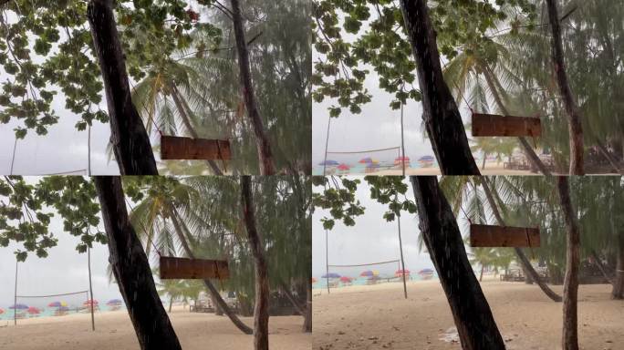 一个饱经风霜的木牌挂在树上的特写，雨水创造了一个水汪汪的背景。