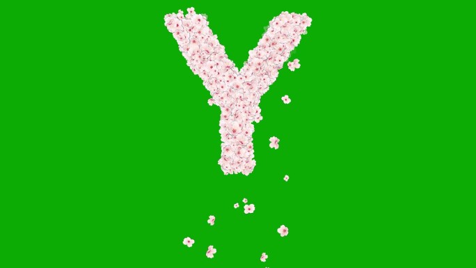 英文字母Y与樱花绿色屏幕背景