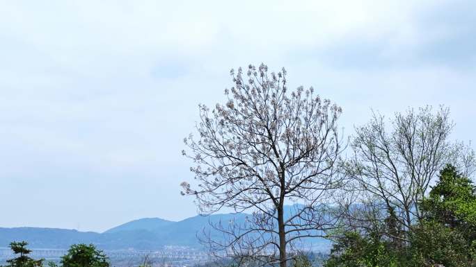 浙江省杭州市萧山山里王村田园风光