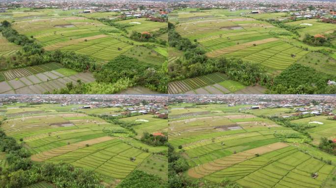 印度尼西亚巴厘岛，无人机拍摄的稻田与城市扩张的登巴萨为背景