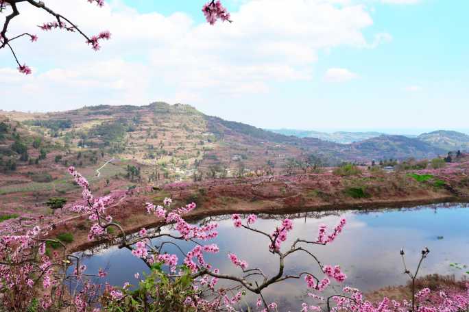 天池桃花天空倒影延时实景素材