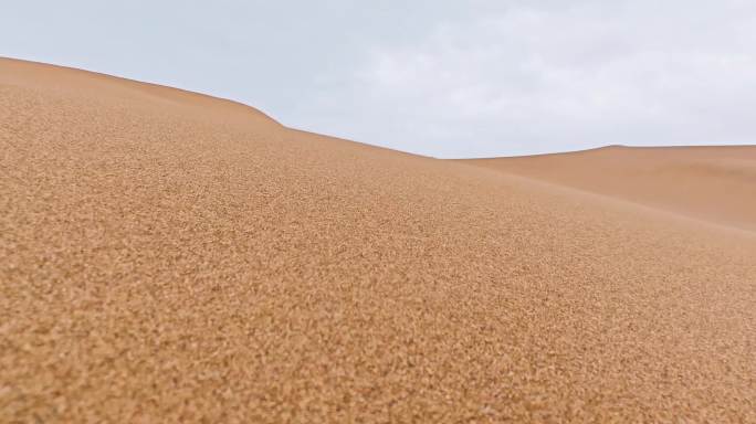 沙漠 沙丘实景特写镜头