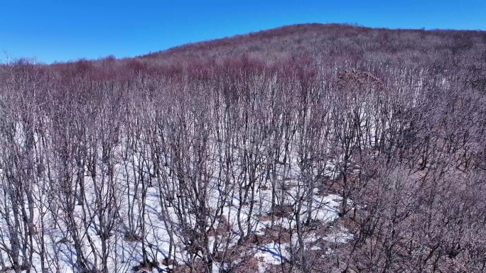 大兴安岭完达山山脉