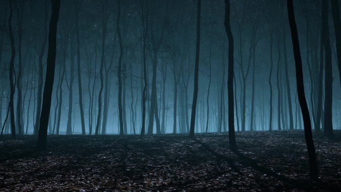 黄昏笼罩在迷雾缭绕的森林里