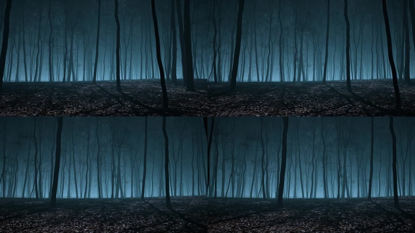 黄昏笼罩在迷雾缭绕的森林里