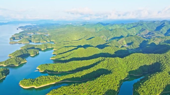 航拍杭州青山绿林湖泊自然景观