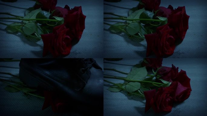 玫瑰在黑暗中掉落并被践踏