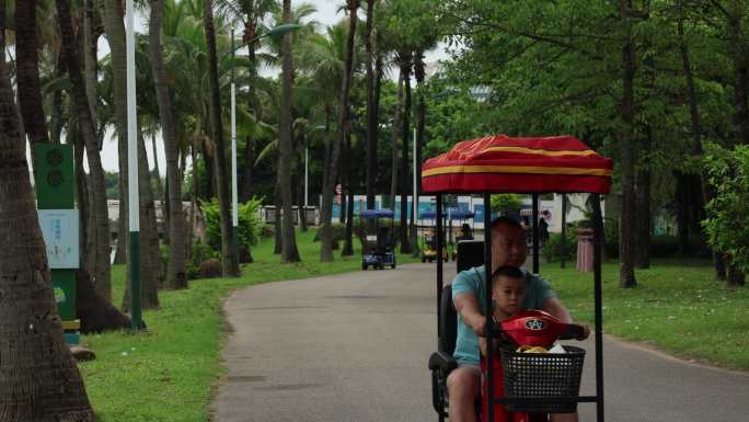 深圳海上田园绿荫大道