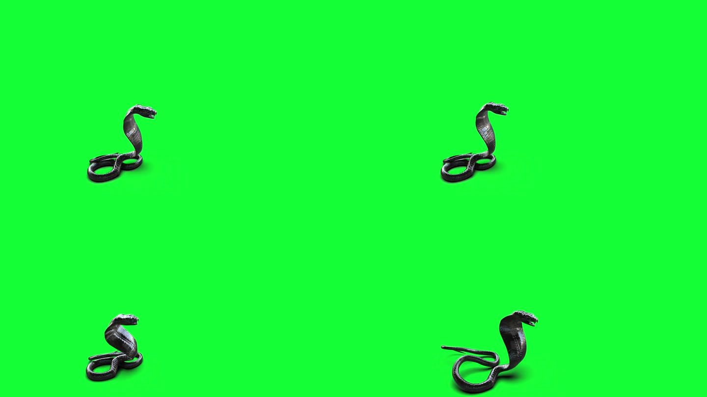 眼镜蛇王的姿势攻击，3d插图，3d渲染。