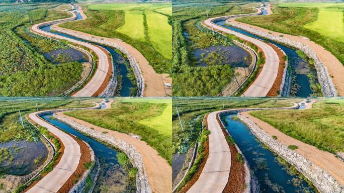 水稻水渠灌溉