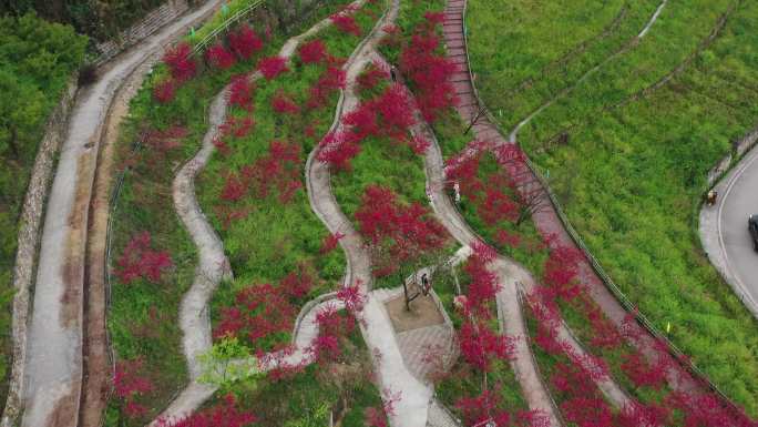 航拍重庆北碚歇马文凤彩云乡村桃花山风光