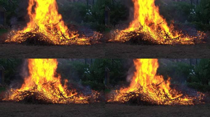 一场可控的大火在森林空地上燃烧着一大堆木头碎片，烟雾在晴朗的天空中升起，防止了野火的发生