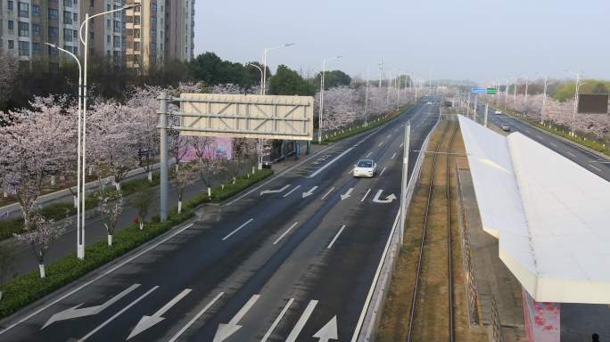 樱花大道樱花绽放唯美网红电车站苏州秀岸站