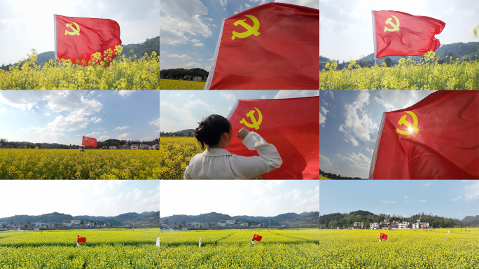 乡村振兴基层党建入党宣誓