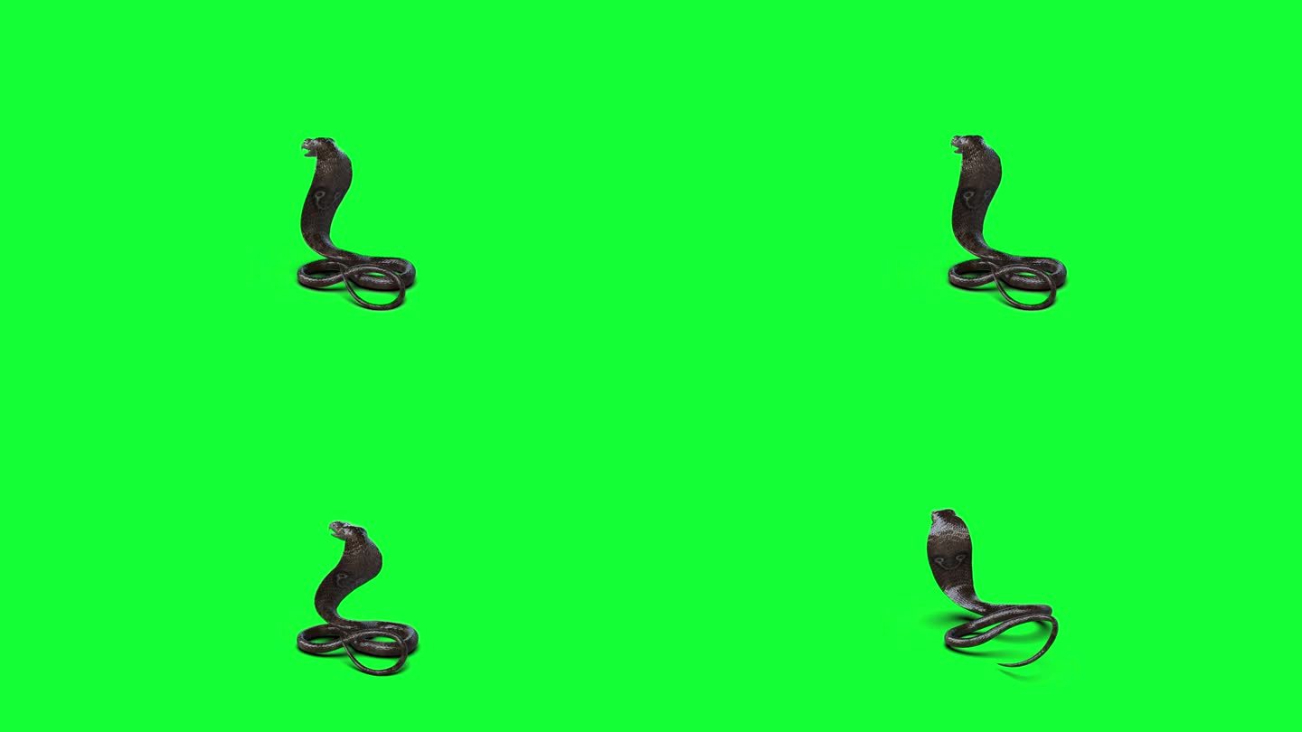 眼镜蛇王的姿势攻击，3d插图，3d渲染。