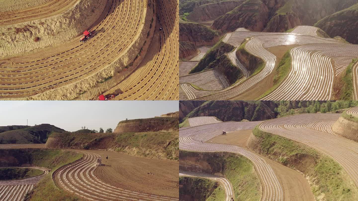 山地   播种  梯田