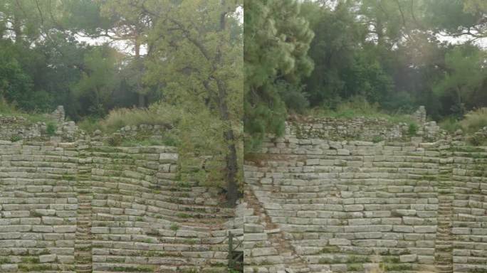 垂直视频。帕塞利斯城的古代圆形剧场已成为废墟，在森林中杂草丛生。全景。