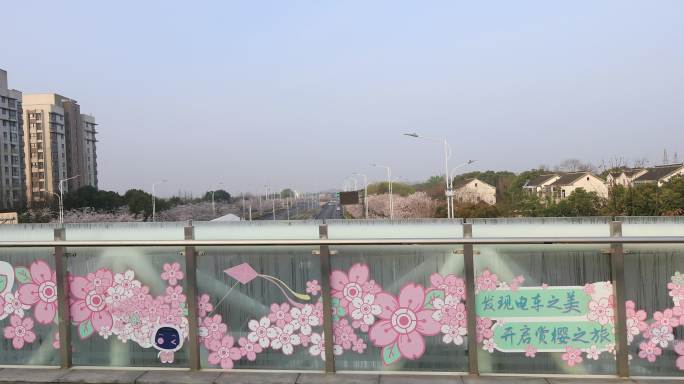 苏州网红樱花电车站 秀岸站天桥